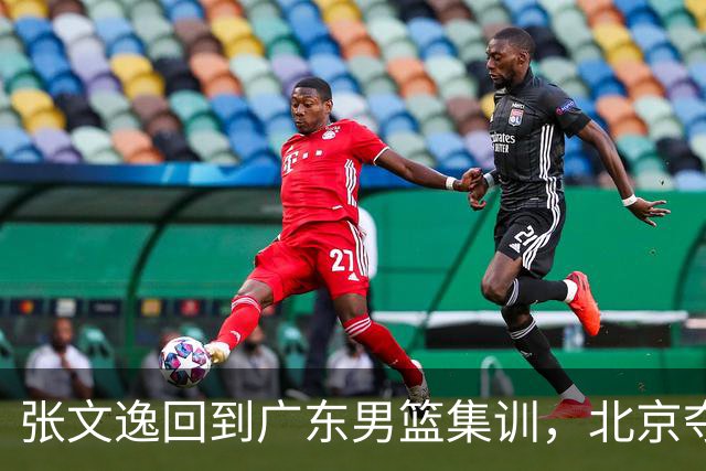 张文逸回到广东男篮集训，北京夺冠功勋确定退役，上海欲续约弗格