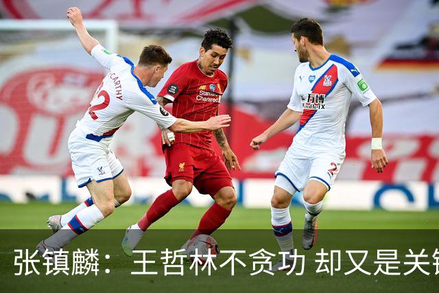 张镇麟：王哲林不贪功 却又是关键时刻能站出来的人 队长当之无愧