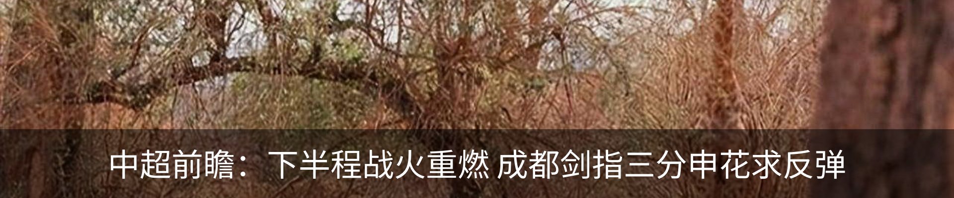 资讯动态