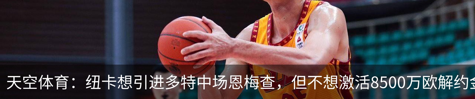 资讯动态