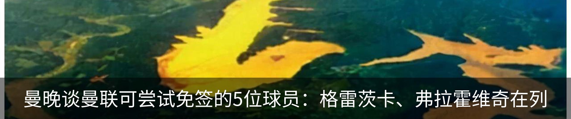 资讯动态
