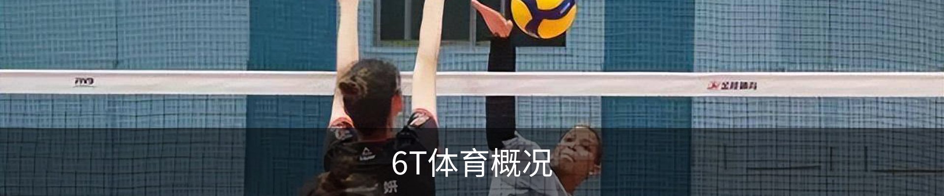 6T体育概况